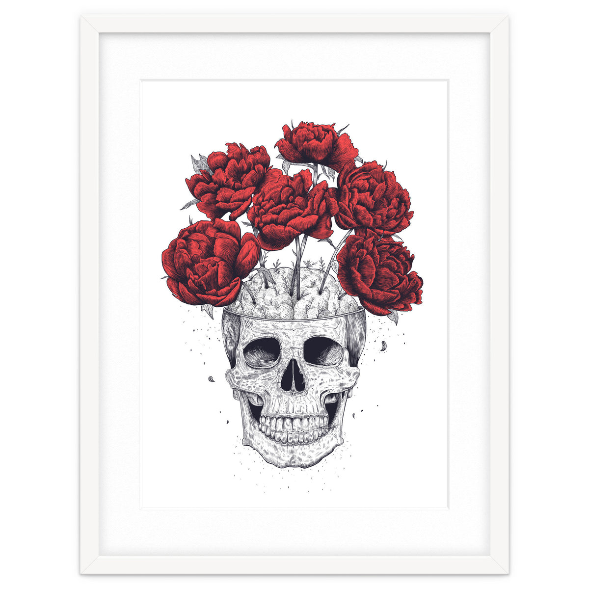 Skull With Peonies