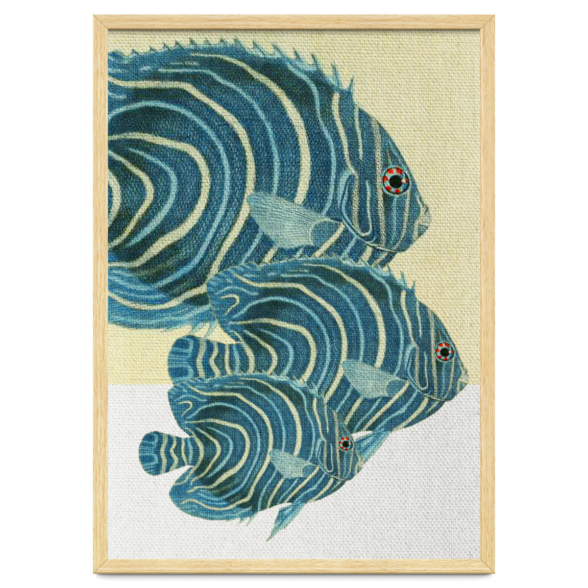 Fish Classic Designs 9