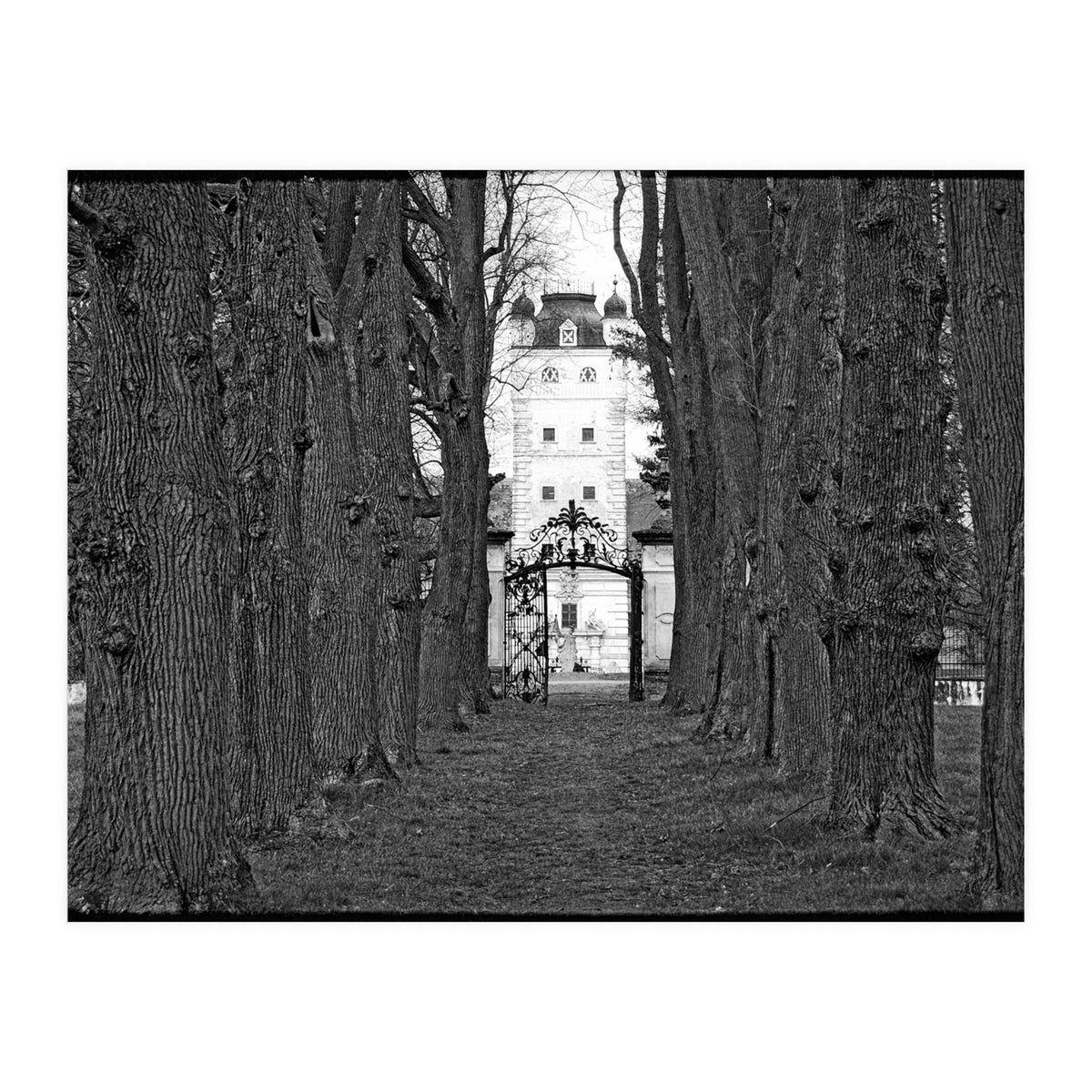 Old alley (Print Only)