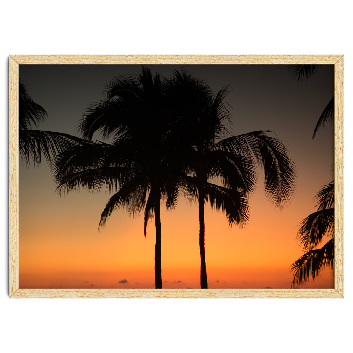 Mexico, November nights