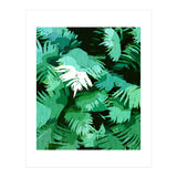 Tranquil Forest (Print Only) thumbnail