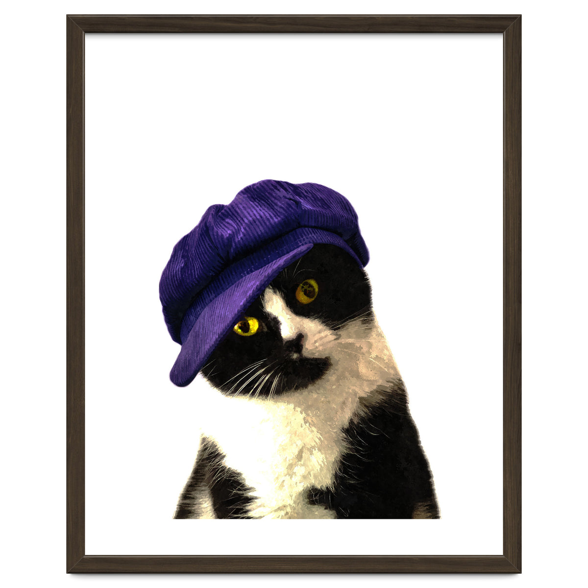 Cat Blue Hat