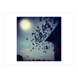 Free Birds (Print Only) thumbnail