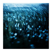 dandelion meadow (Print Only)
