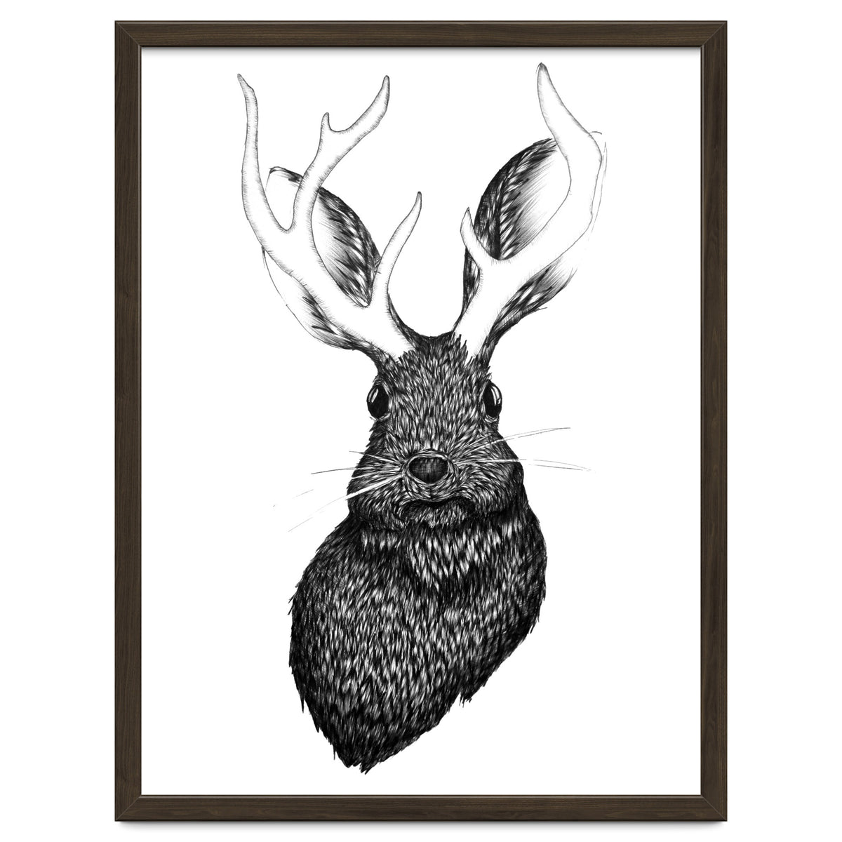 Jackalope