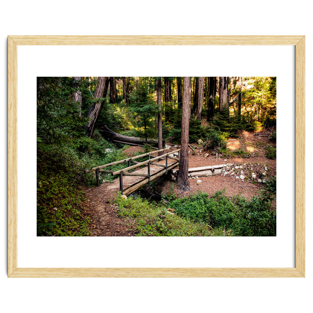 Ewoldsen Loop Bridge