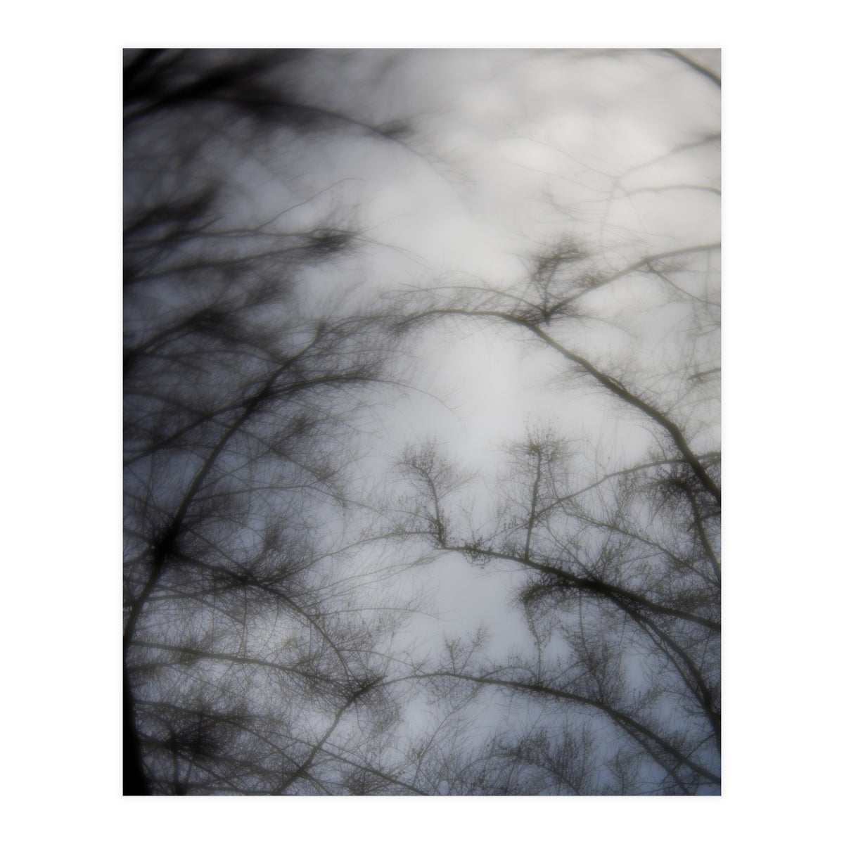 Forgotten Memories of Summer #16 (Print Only)