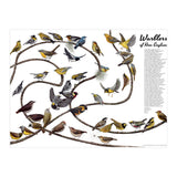 Warblers of New England (Print Only) thumbnail