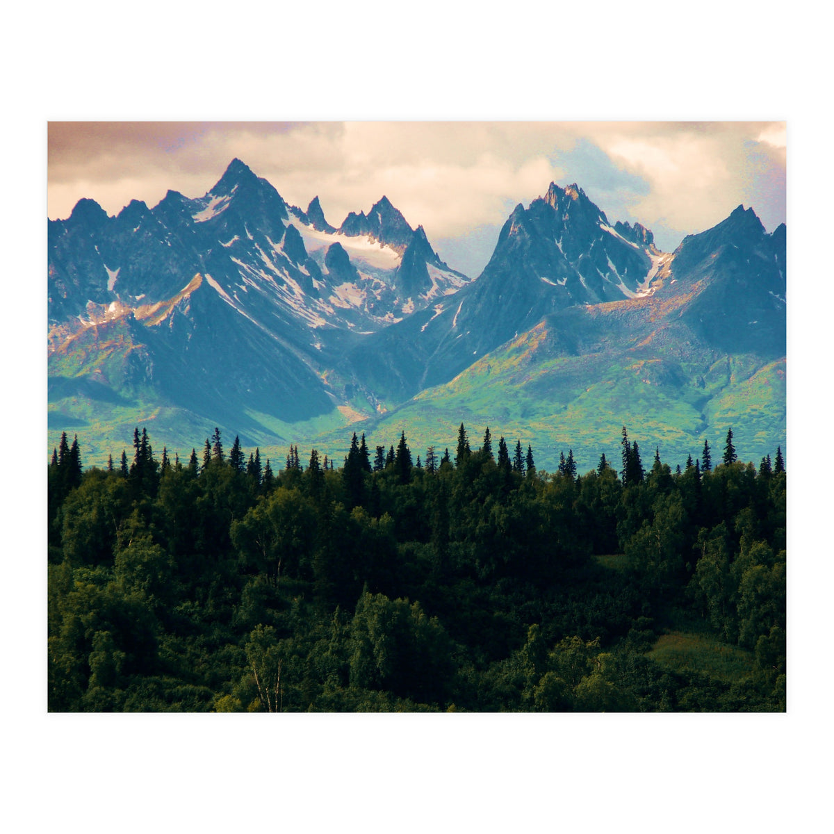 Escaping from woodland heights II (Print Only)