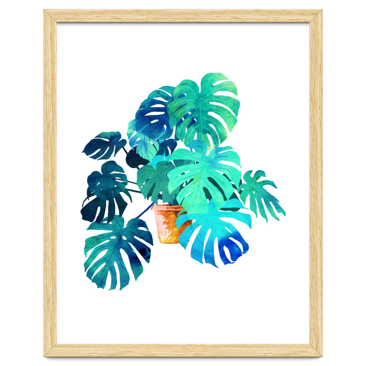 Monstera V2