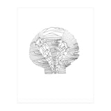 Salt&surf Scallop Waves (Print Only) thumbnail