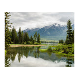 Nature (Print Only) thumbnail
