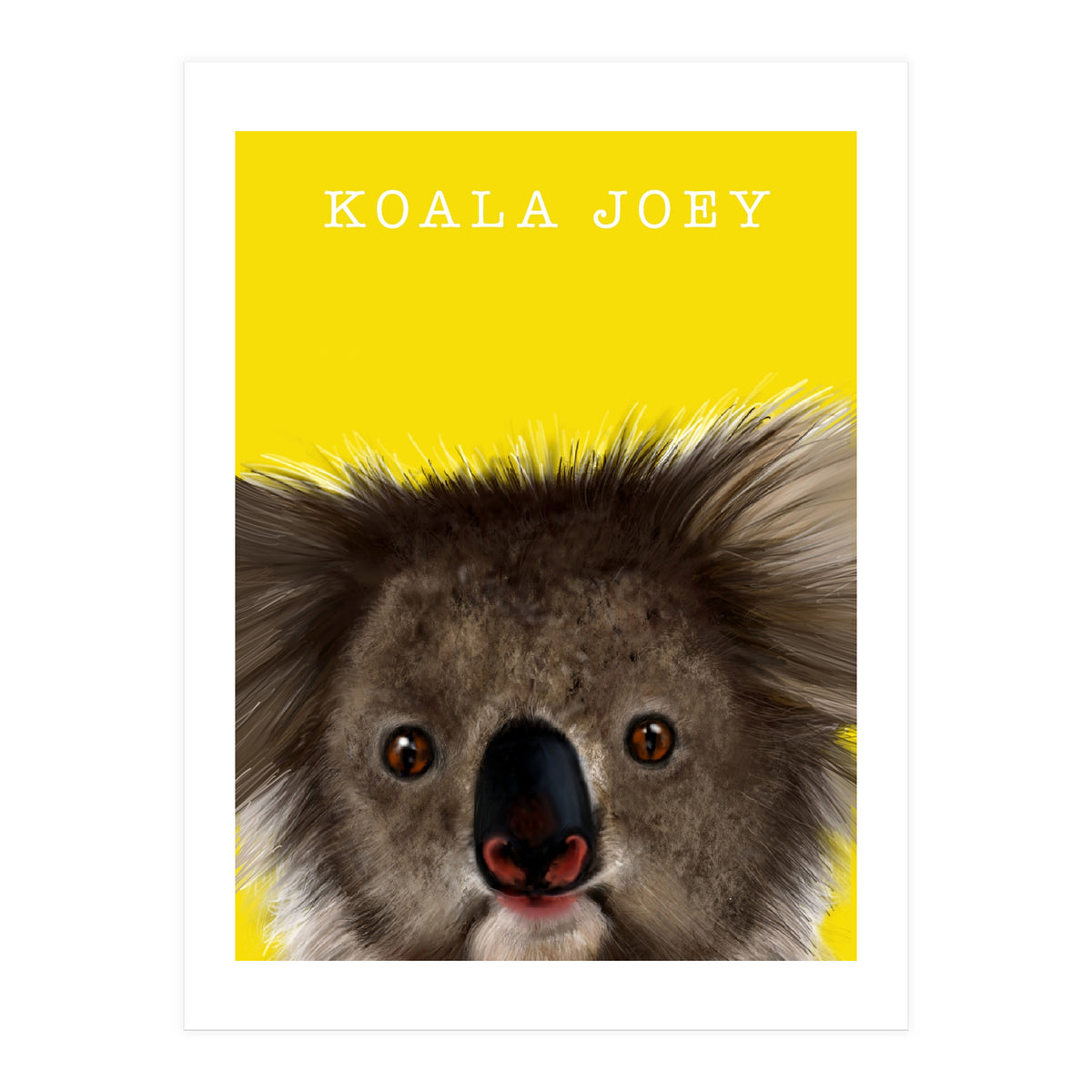 Koala Joey (Print Only)