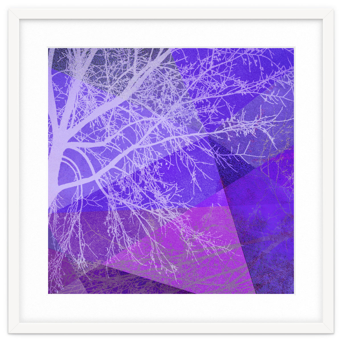 P19-D2 Trees and Triangles