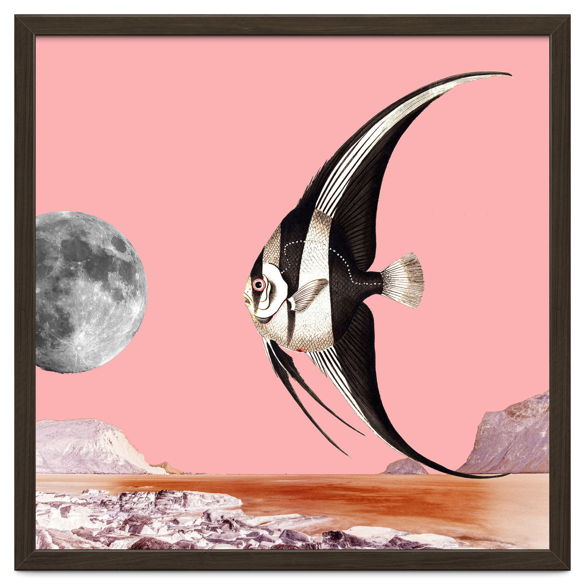 Plenty Of Fish In The Sea Pink