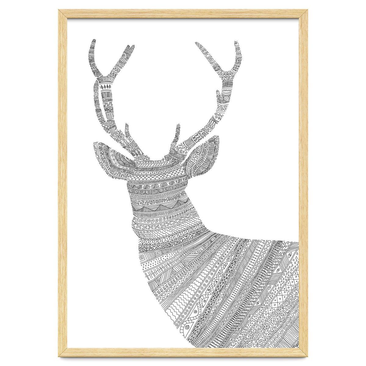 Stag 2