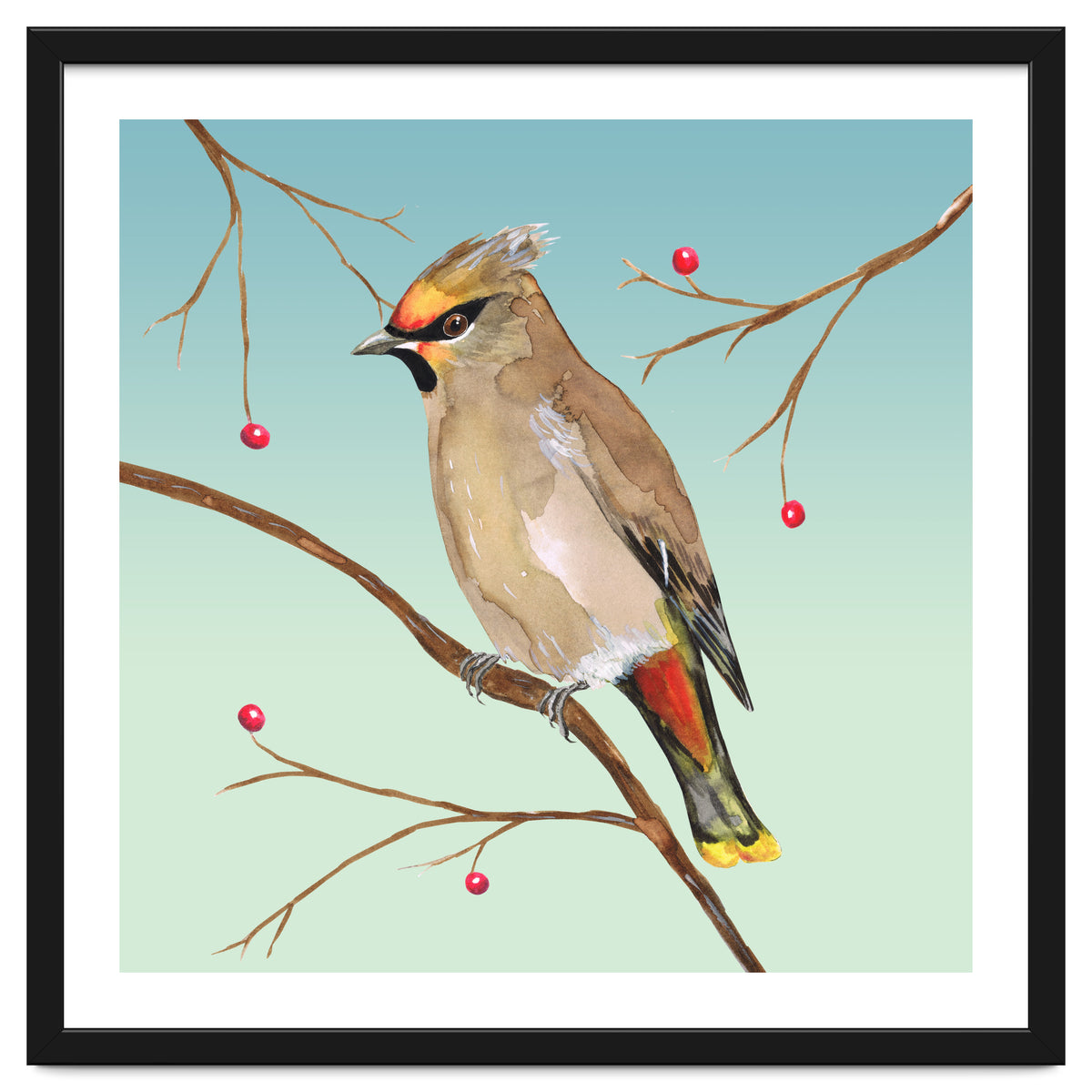 Bohemian waxwing