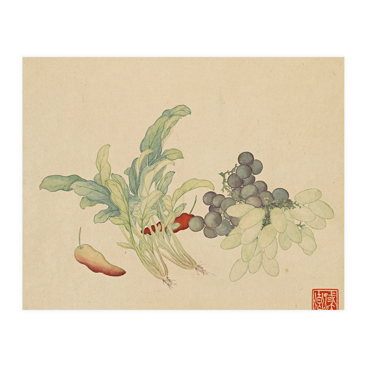 Wang Chengyu ~ Flowers And Vegetables, Vegetables, Fruits, Peppers, Millet Hot, Grapes, Spinach (Print Only)