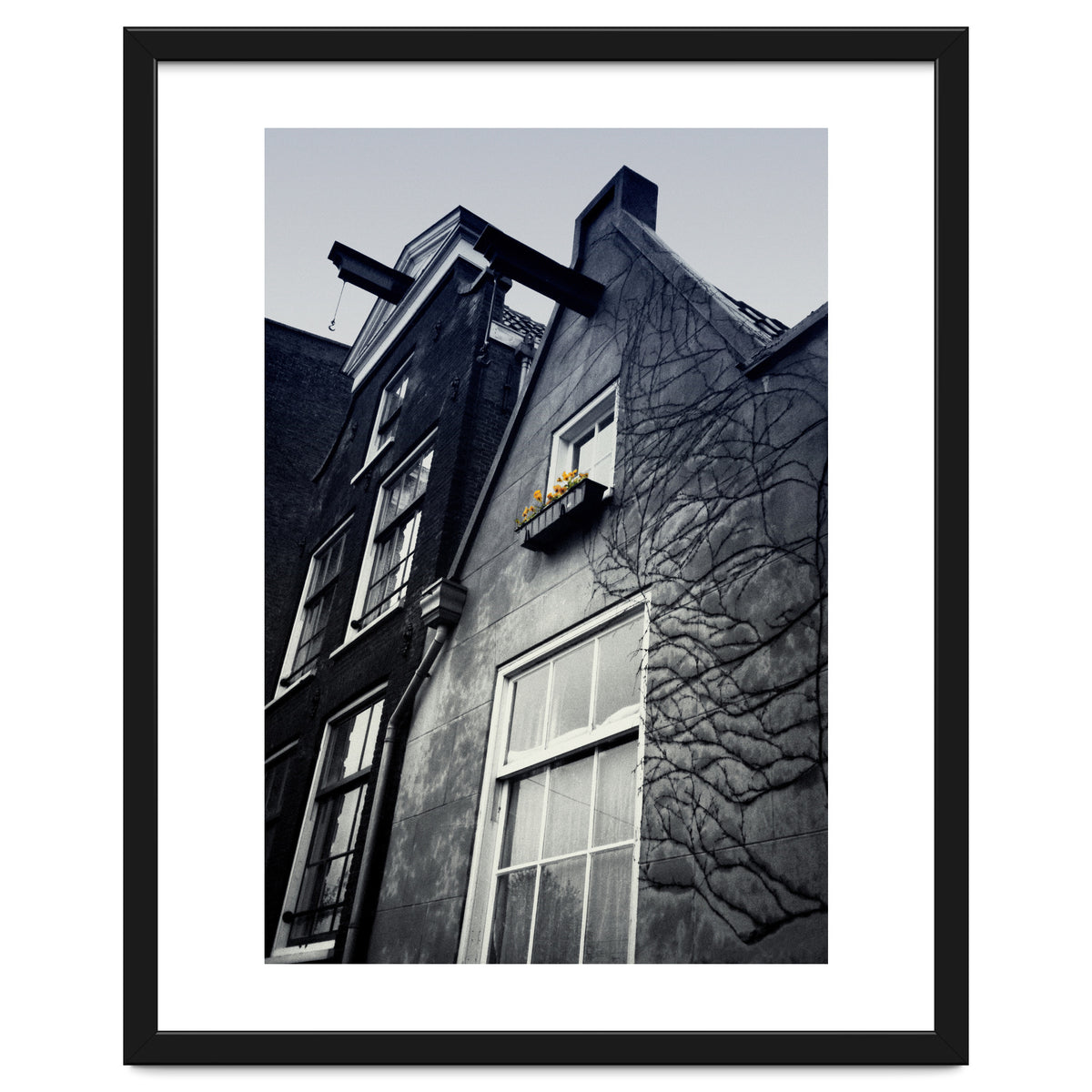 Amsterdam. House With Yellow Flowers.