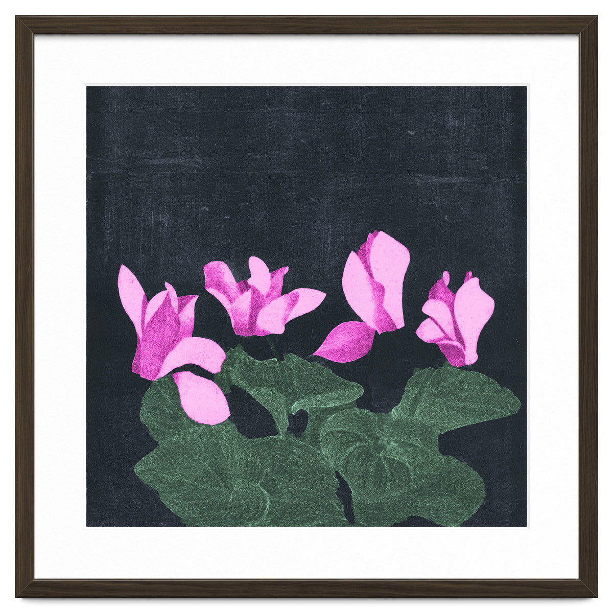 Cyclamen