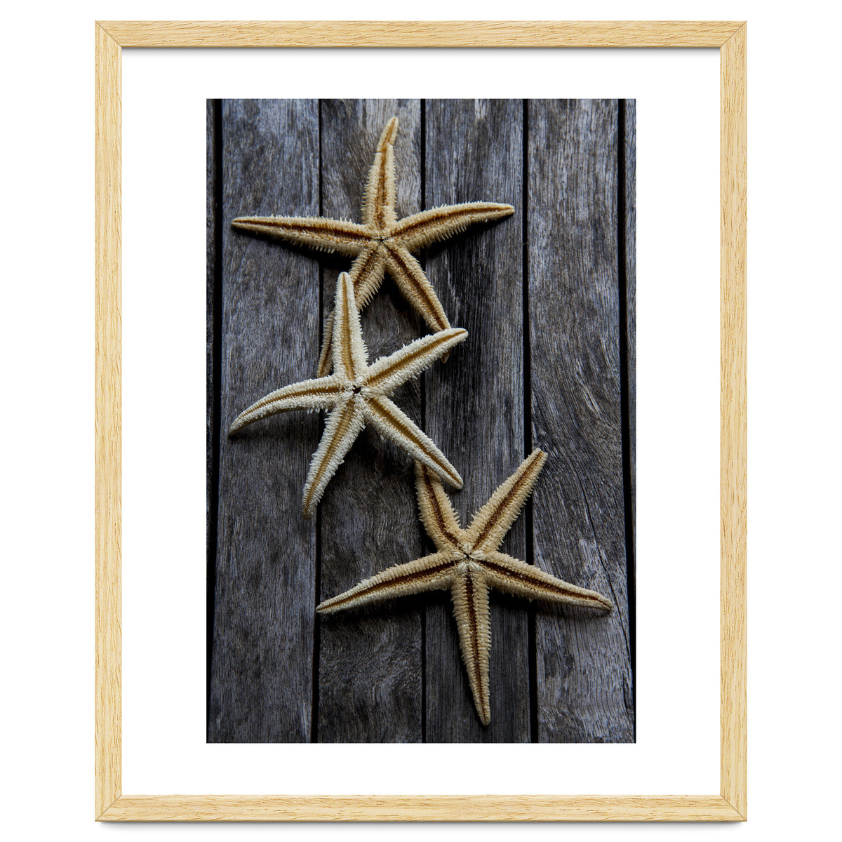 Starfishes in wooden