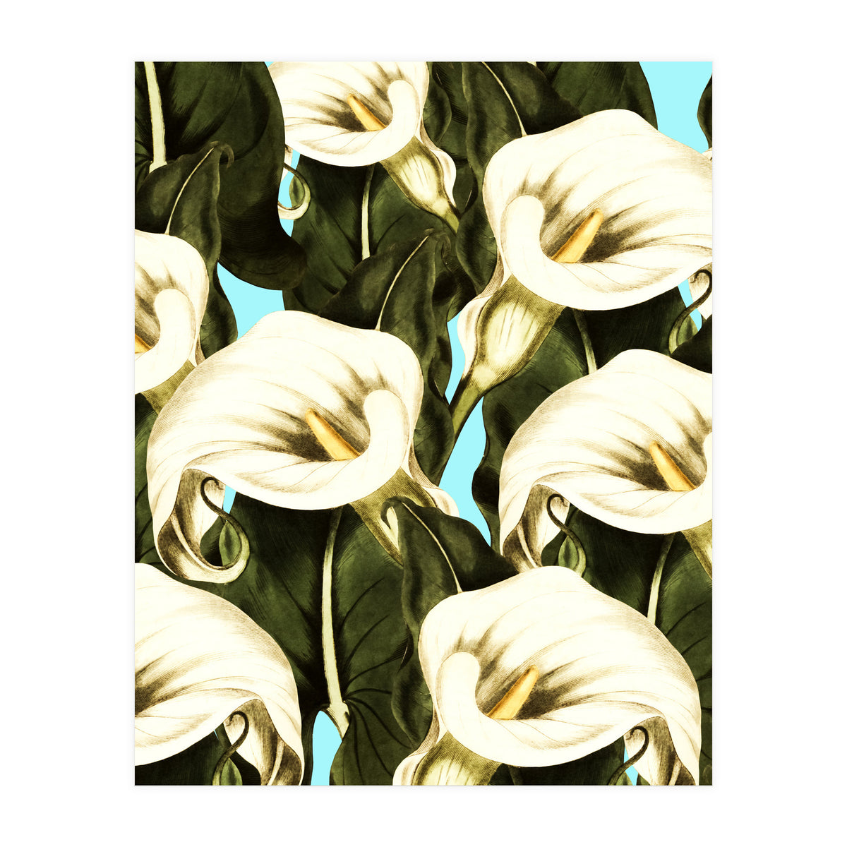 Pattern floral Ethiopian-Calla (Print Only)