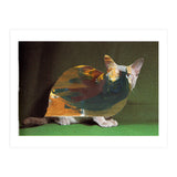 Color Cat (Print Only) thumbnail
