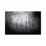 hair (Print Only) thumbnail