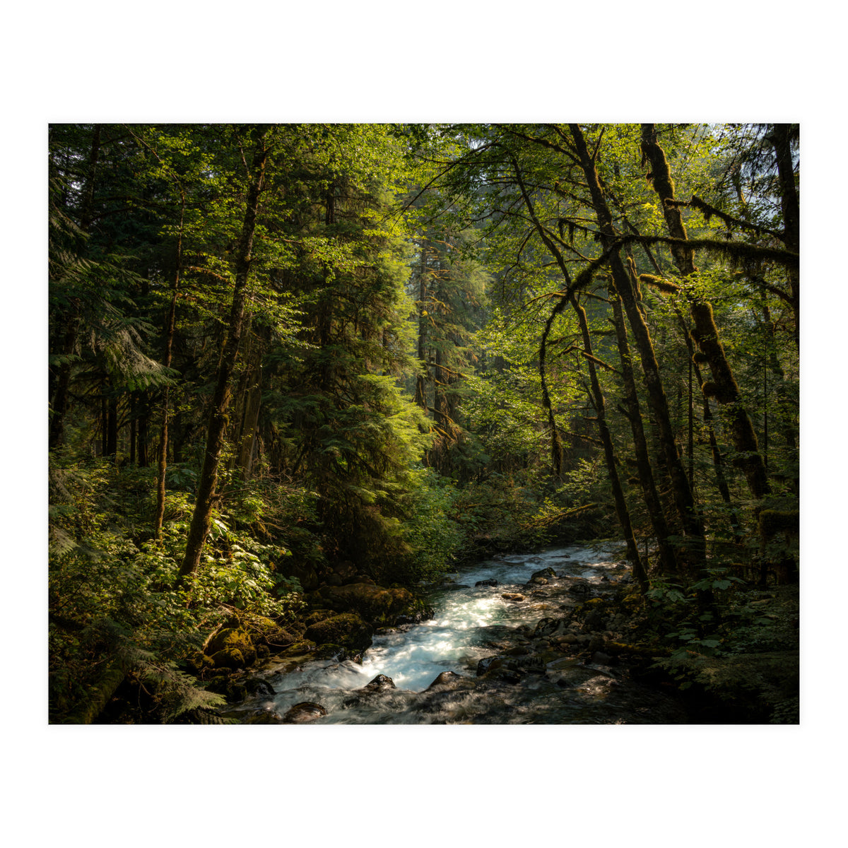 Cascade River (Print Only)