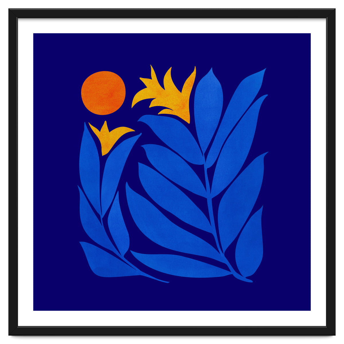 Community Garden At Night