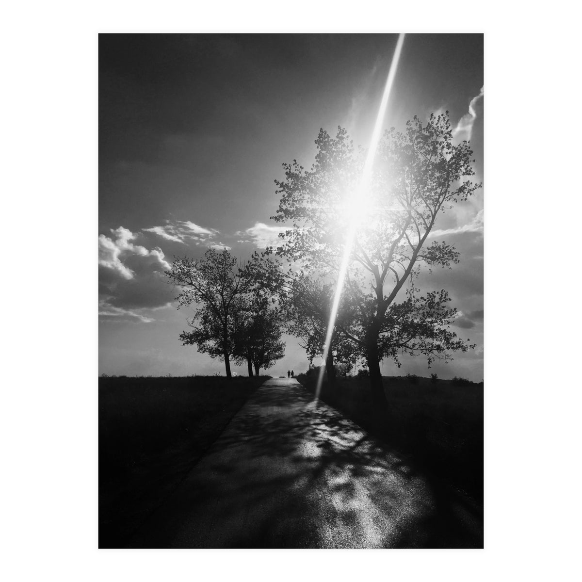 Walking on the shadows (Print Only)