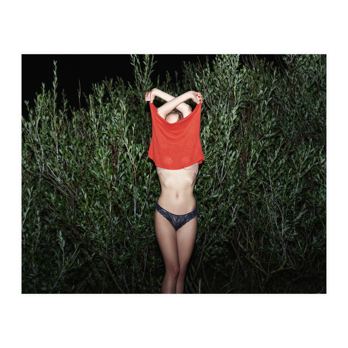 Pomegranate (Print Only)