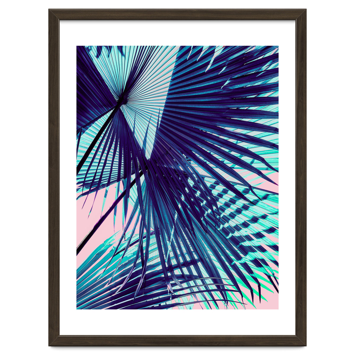 Palm leaf on the beach