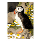 Puffin (Print Only) thumbnail