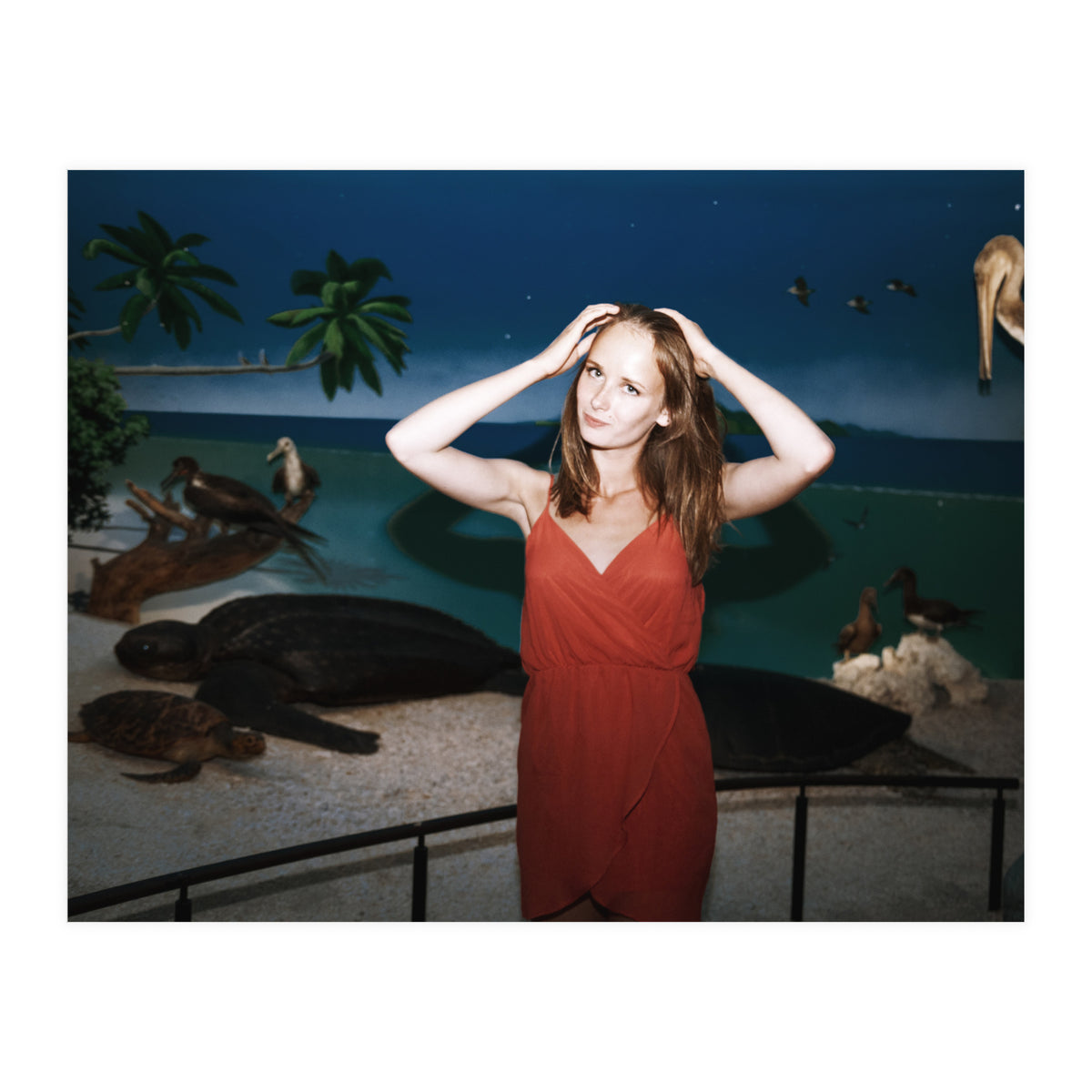 Galapagos (Print Only)