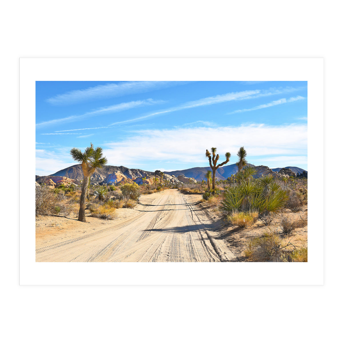 Joshua Tree II (Print Only)