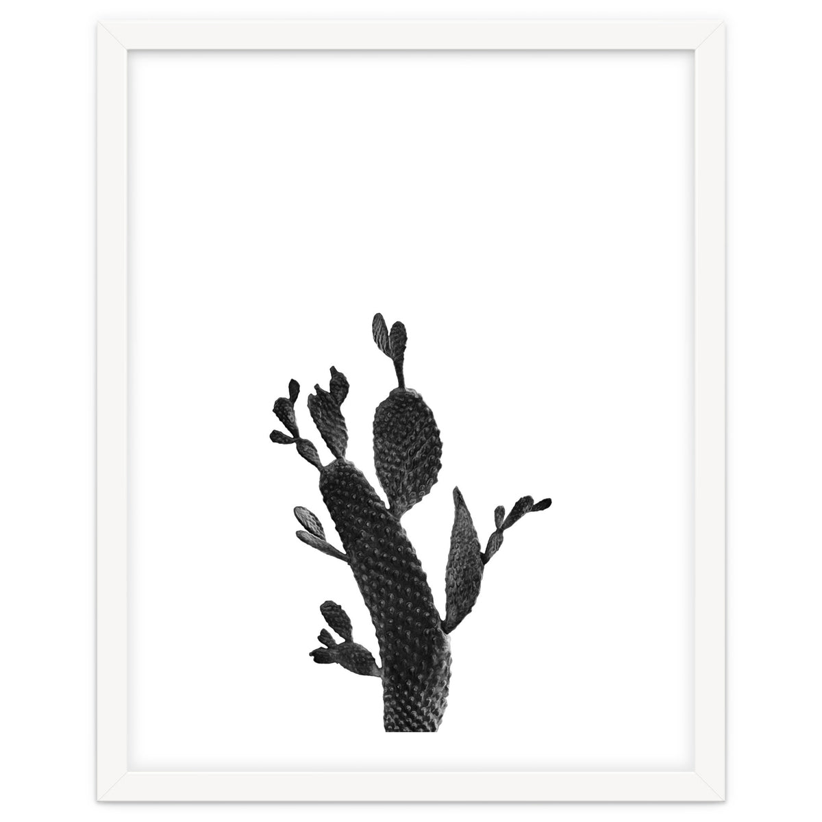 Cactus Black And White 02