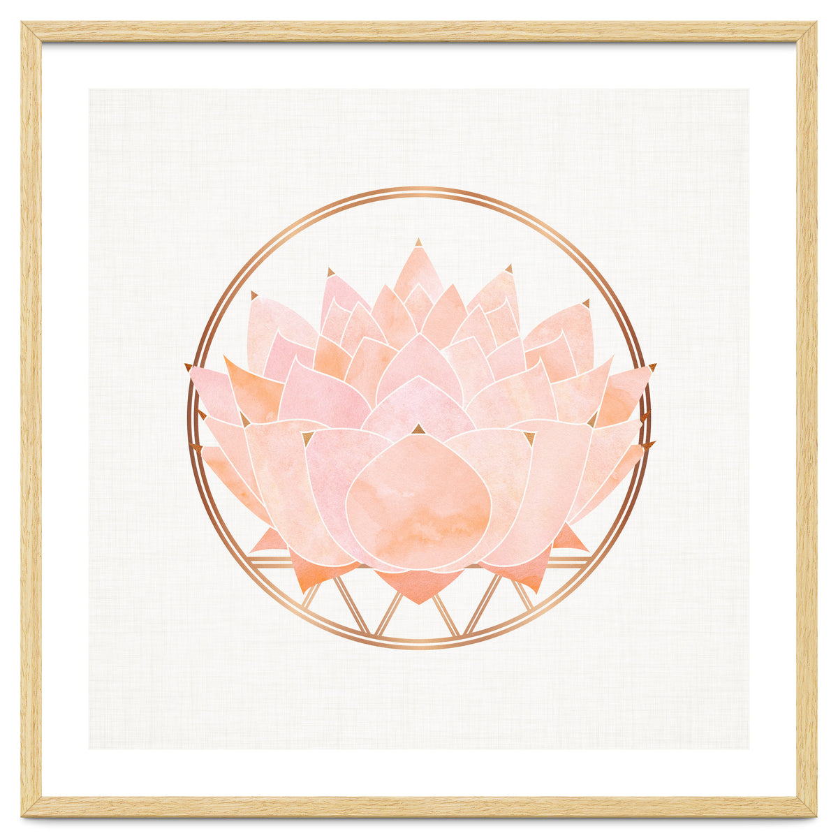 Peach Succulent  Blossom