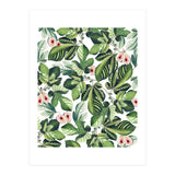 Fig Garden (Print Only) thumbnail