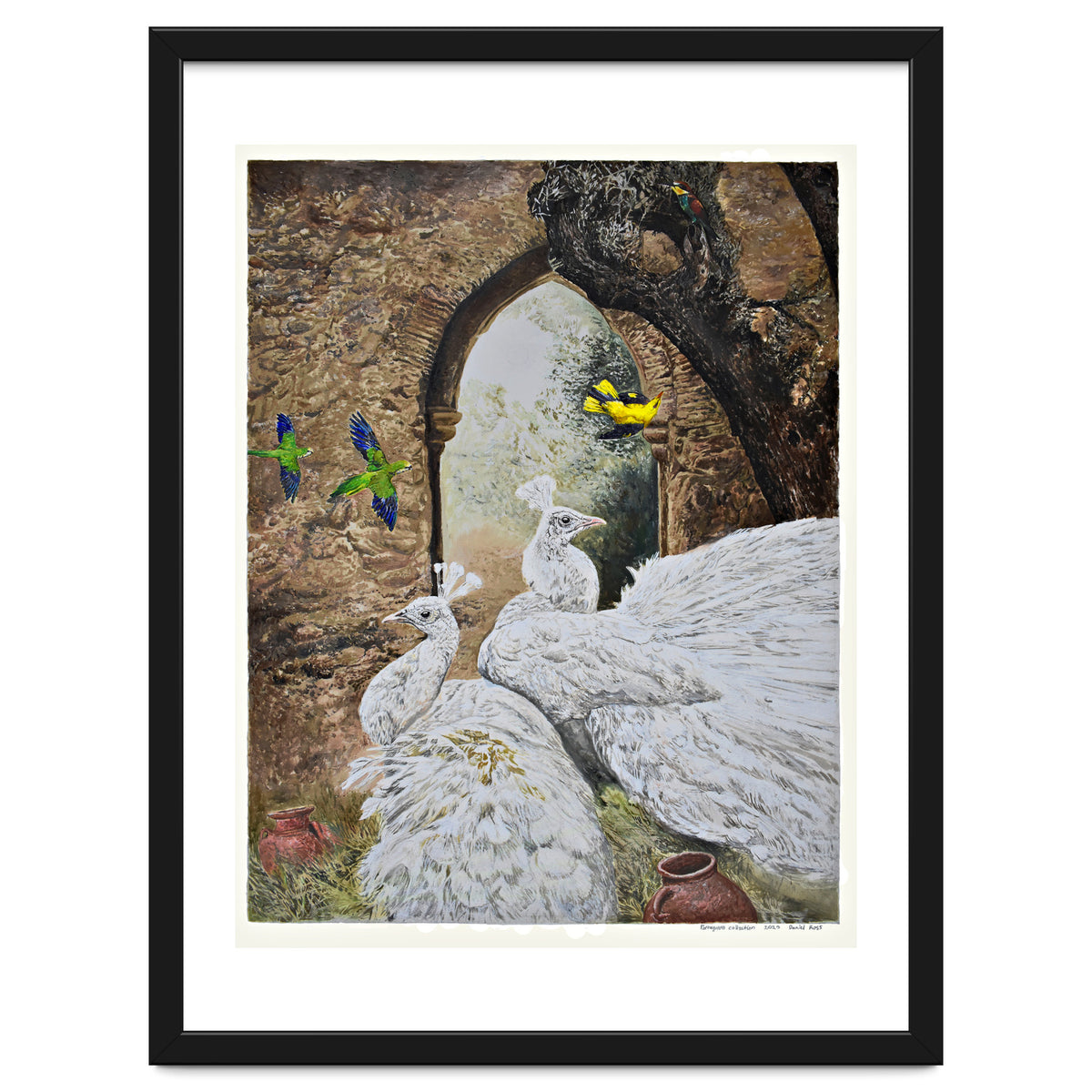 Portuguese Collection