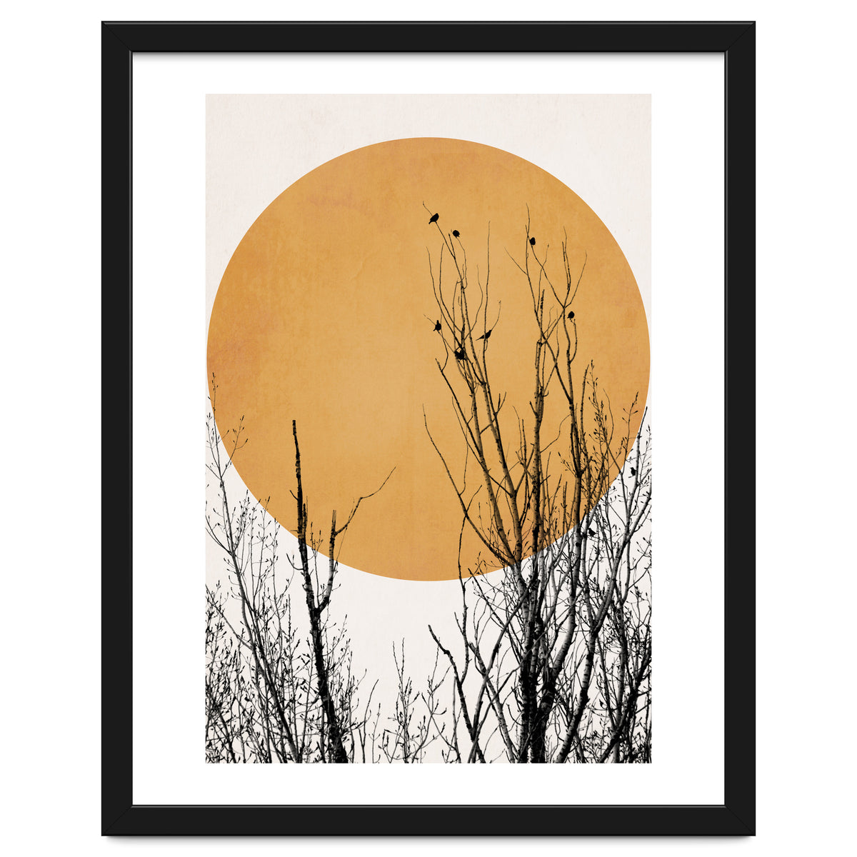 Sunset Dreams Yellow