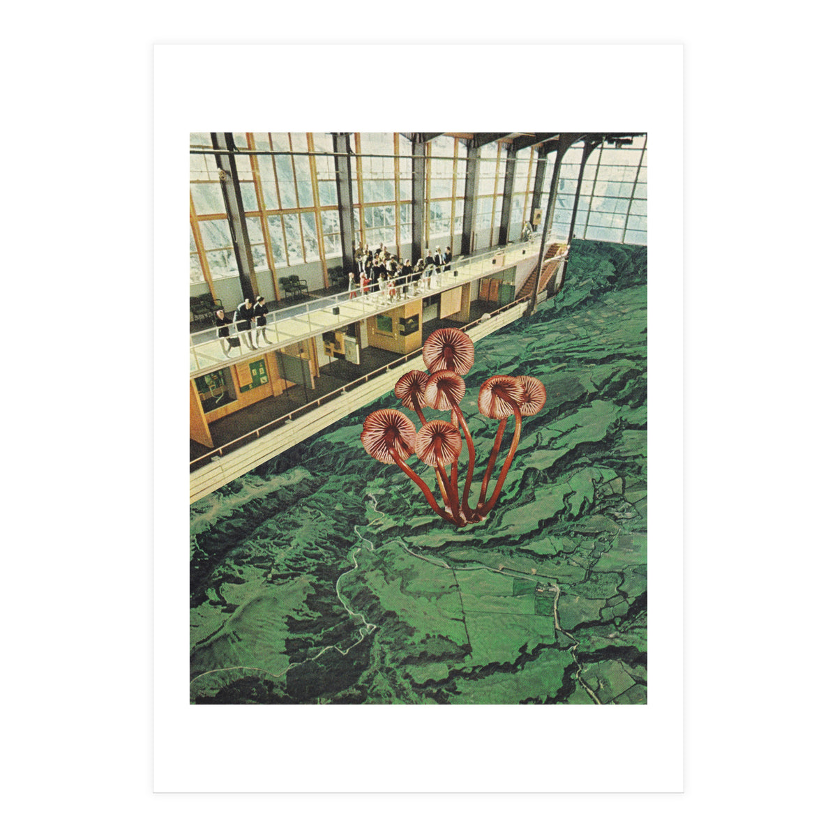 Mushroom Greenhouse (Print Only)