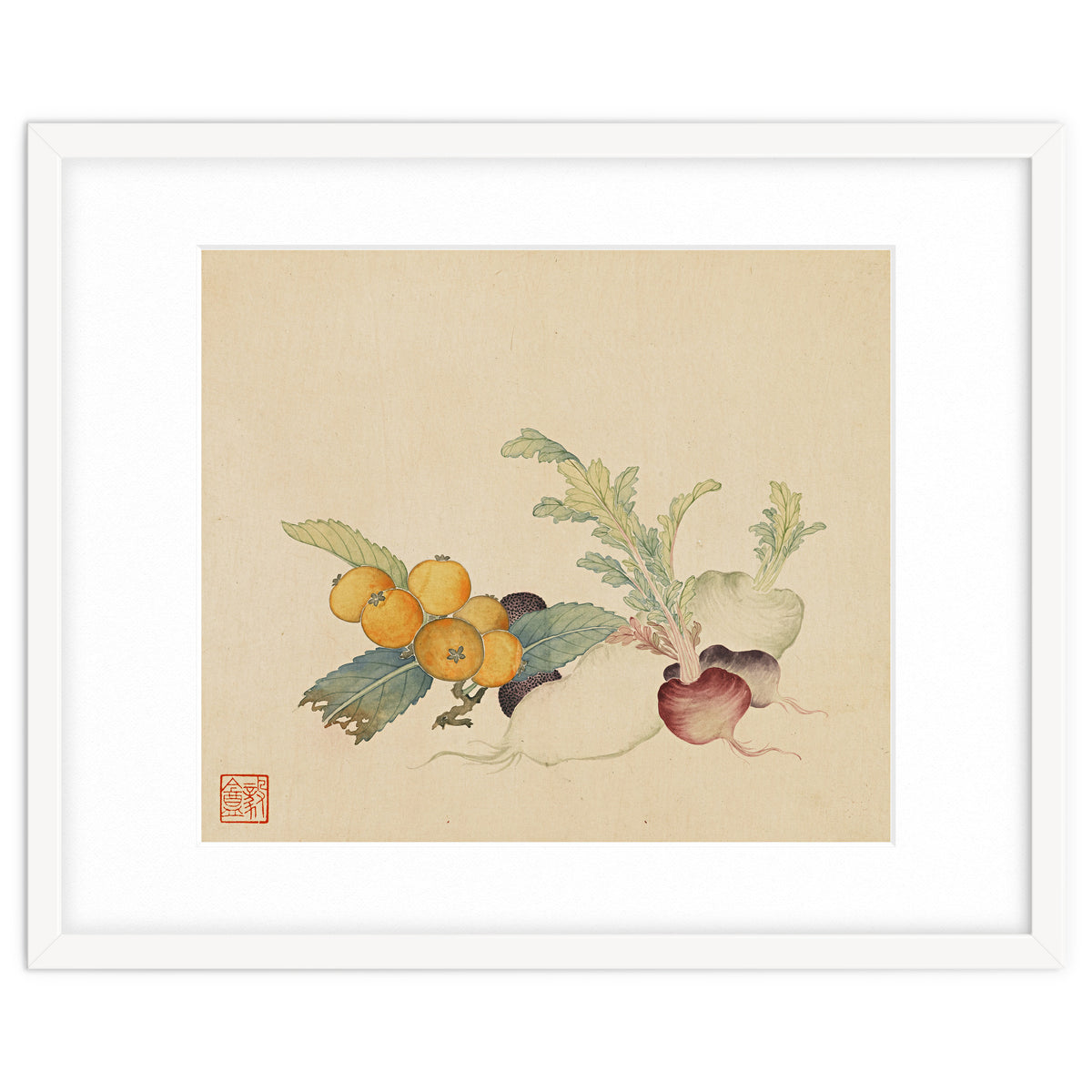 Wang Chengpi~flowers And Vegetables, Vegetables, Fruits, Loquat, White Radish, Carrot, Radish