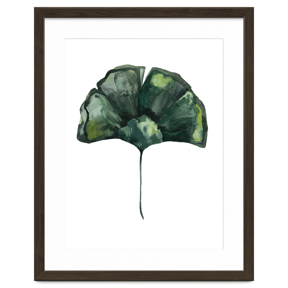 Botanical Illustration Ginko