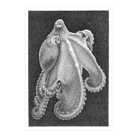 Octopus no. 2 (Print Only)