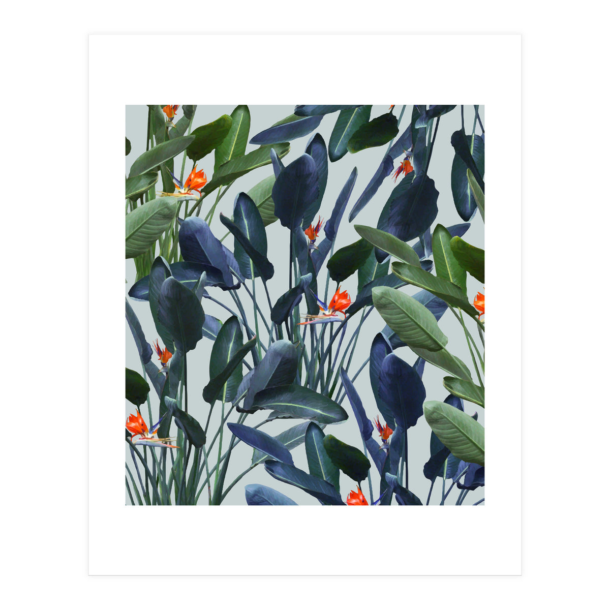 Optical Zen (Print Only)