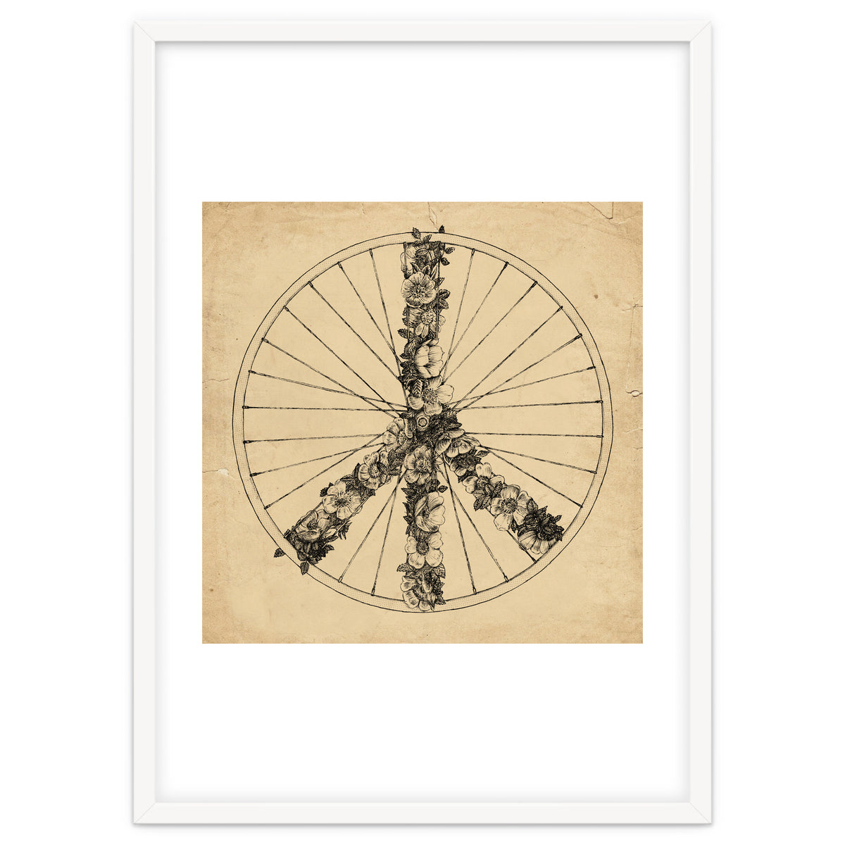 Peace And Bike Lines