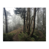 Mt. Davidson II (Print Only) thumbnail