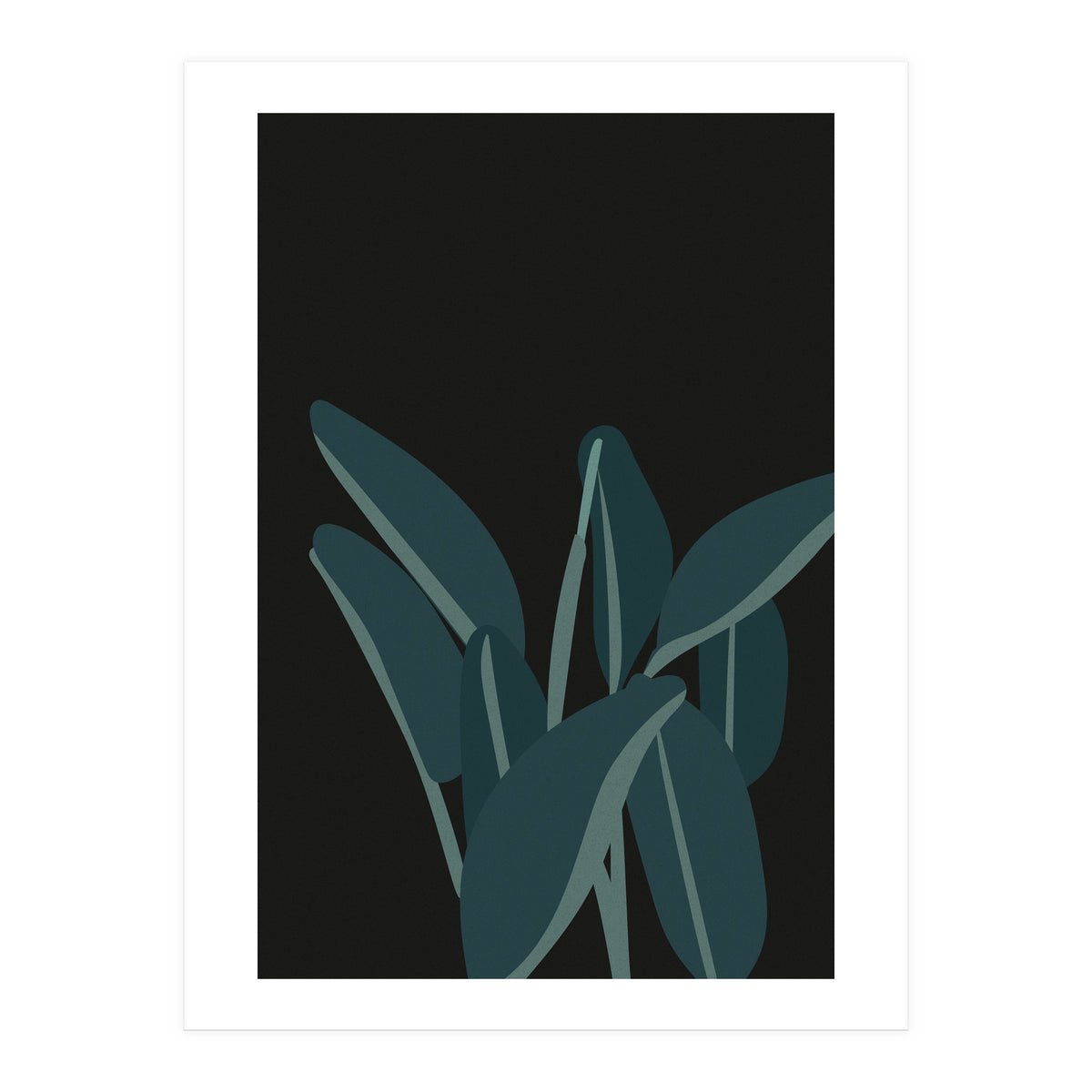 Bird Of Paradise (Print Only)