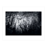 the sheep (Print Only) thumbnail